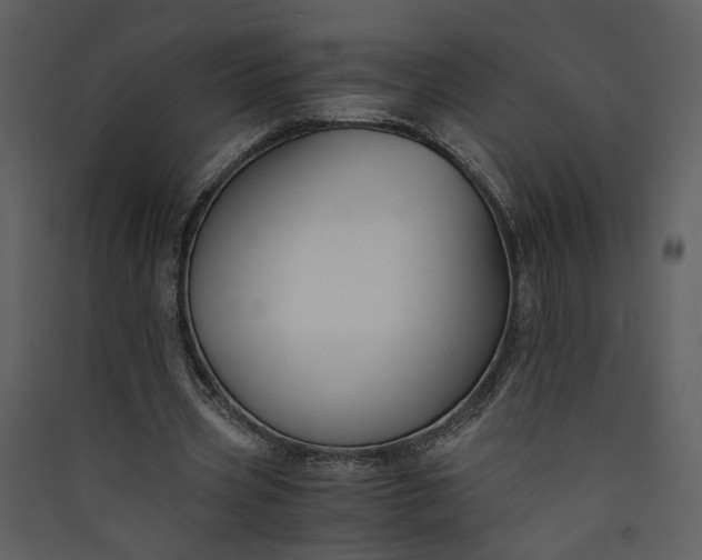 X0000089920533200707131413