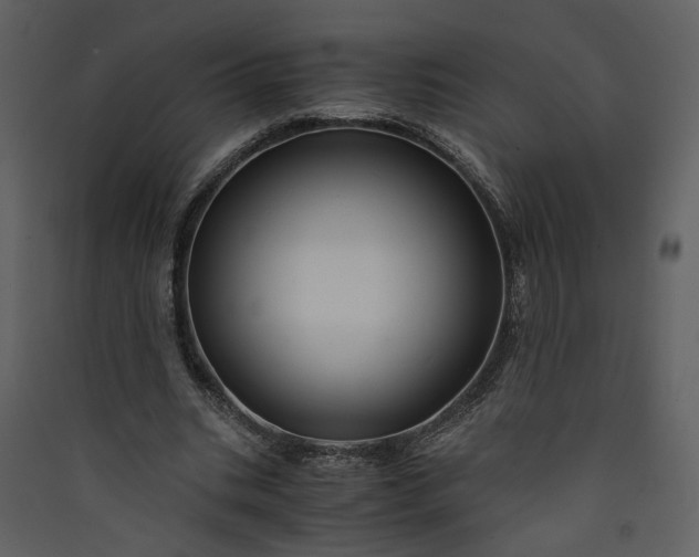 X0000089920535200707131413