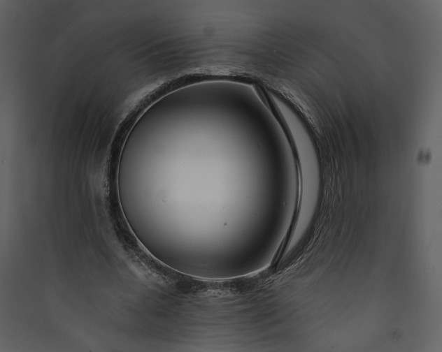 X0000089920536200707131413