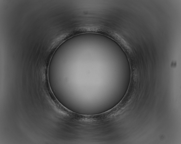 X0000089920537200707131413