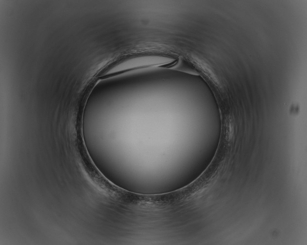 X0000089920538200707131413