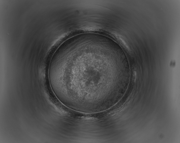 X0000089920539200707131413