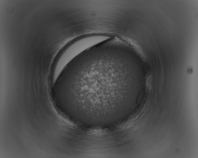 X0000089920540200707131413