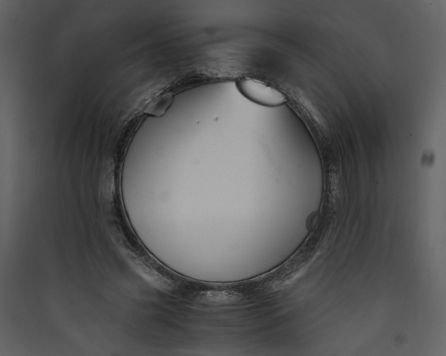 X0000089920541200707131413