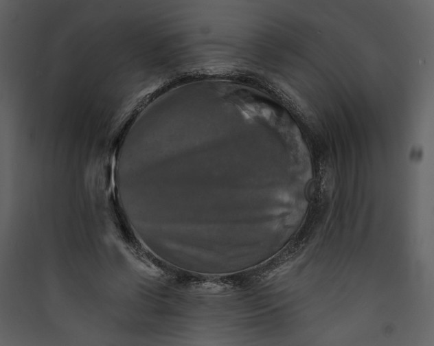 X0000089920542200707131413