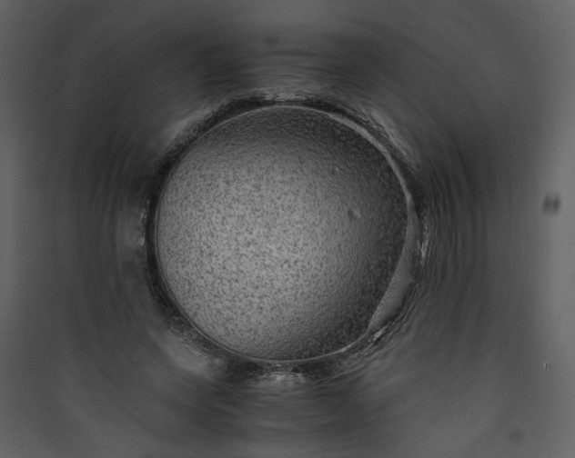 X0000089920543200707131413