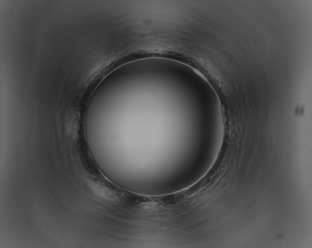 X0000089920544200707131413