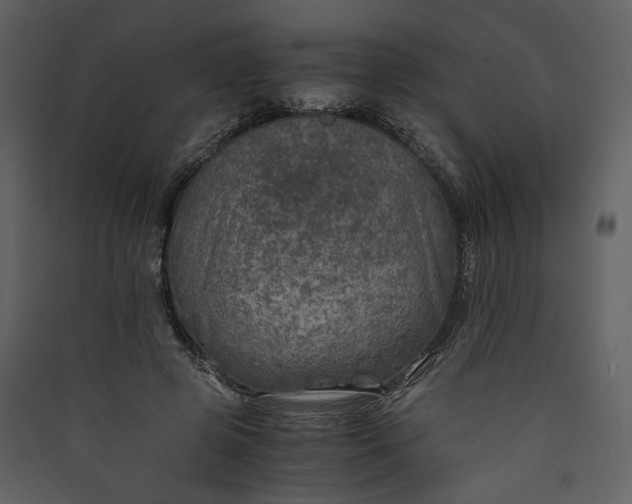X0000089920545200707131413