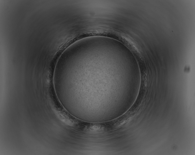 X0000089920546200707131413