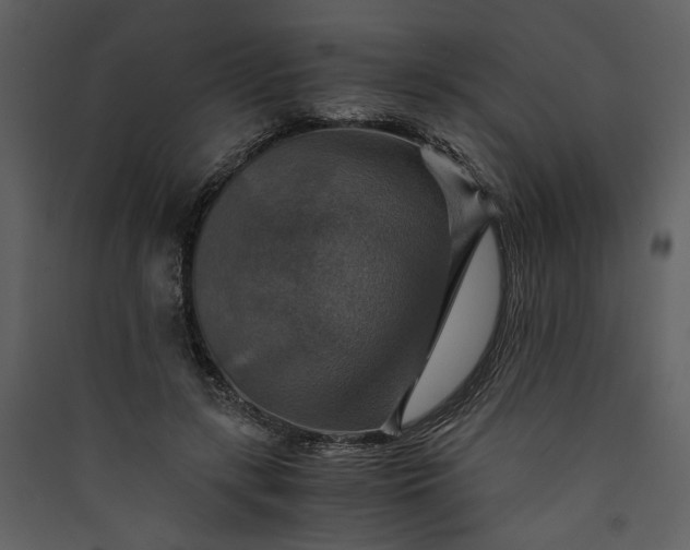 X0000089920547200707131413