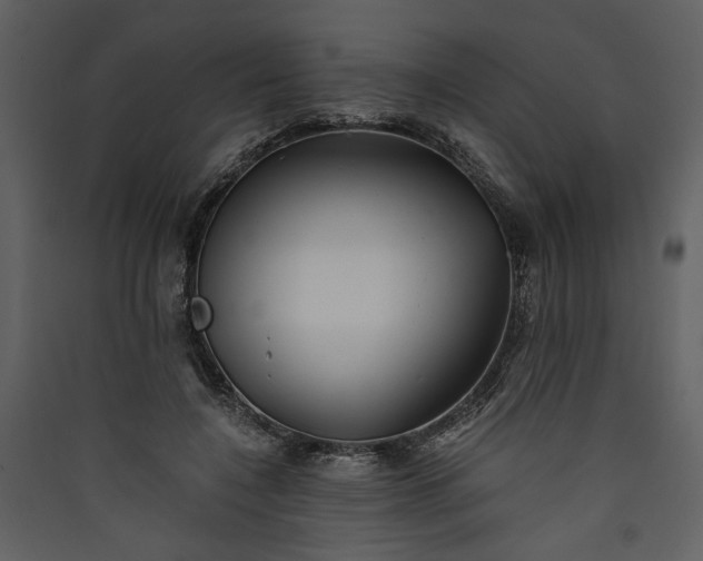 X0000089920548200707131413