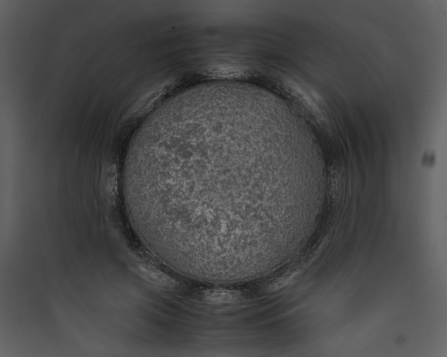 X0000089920549200707131413