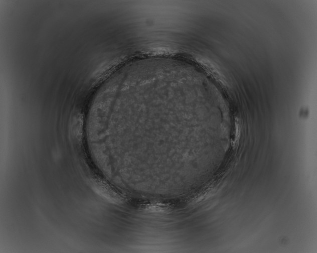 X0000089920550200707131413