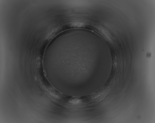 X0000089920551200707131413