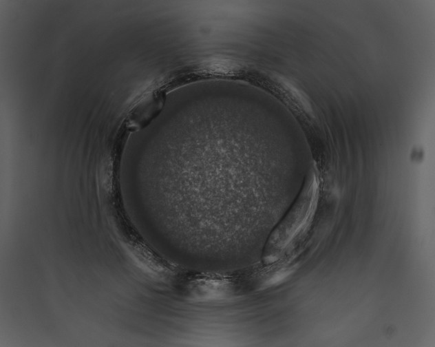 X0000089920552200707131413