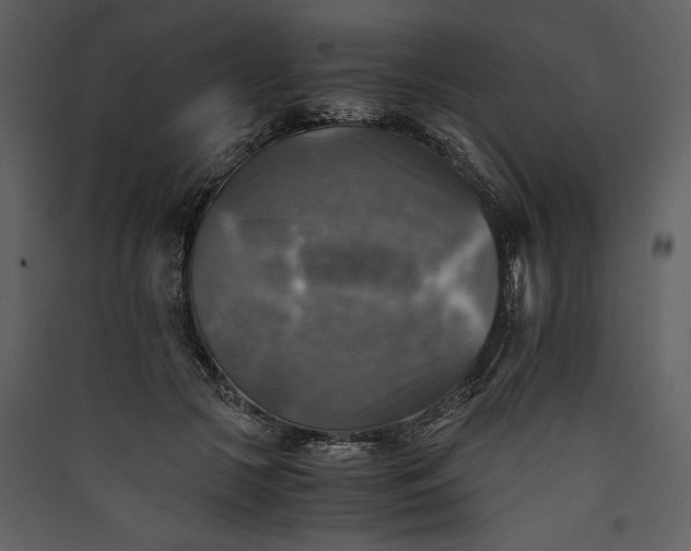 X0000089920553200707131413