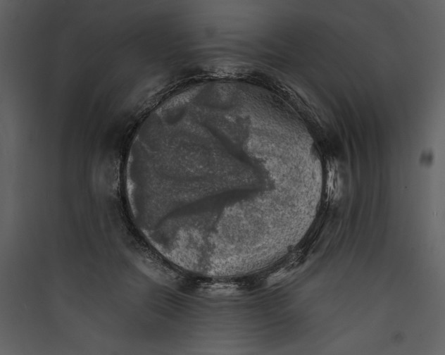 X0000089920554200707131413