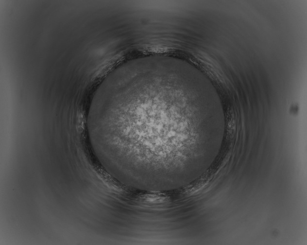 X0000089920555200707131413
