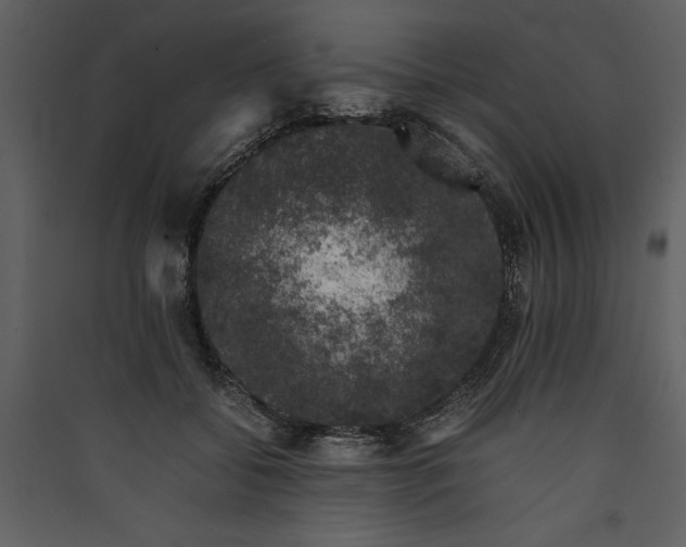 X0000089920556200707131413