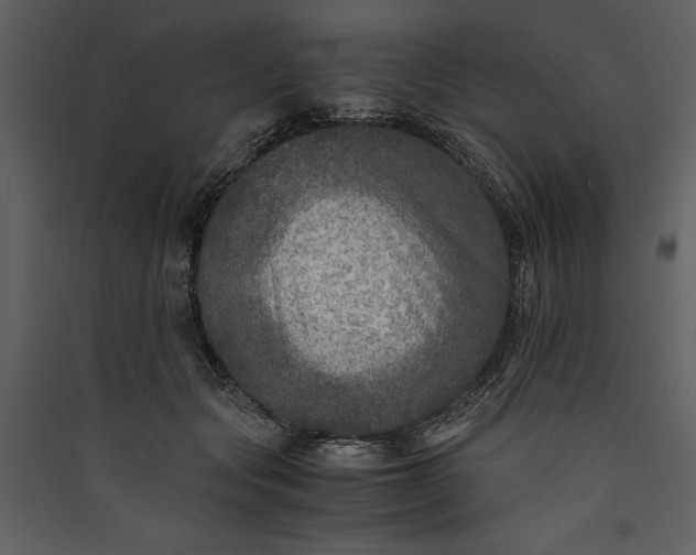 X0000089920557200707131413