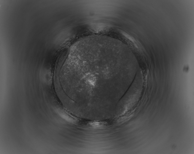 X0000089920558200707131413
