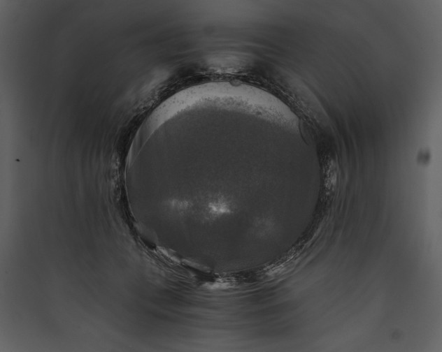 X0000089920559200707131413