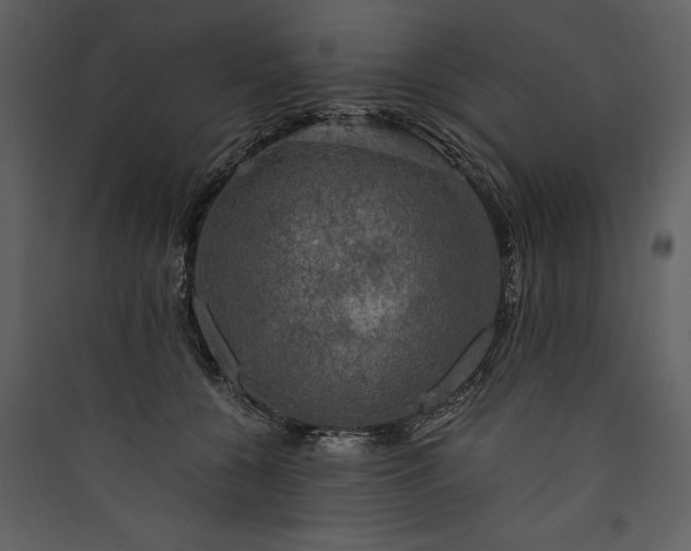 X0000089920560200707131413