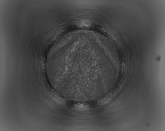 X0000089920561200707131413