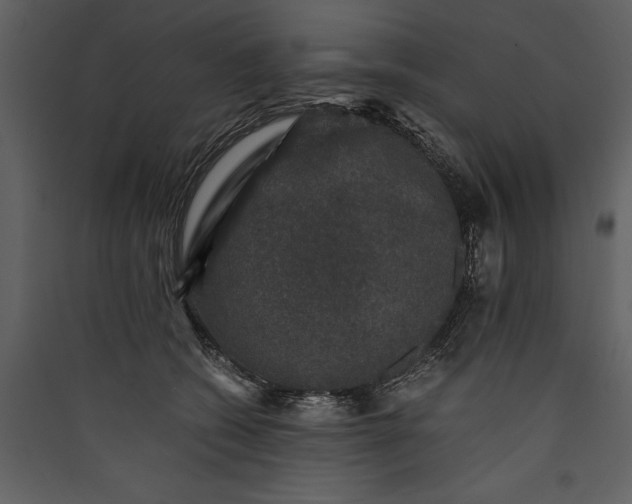X0000089920562200707131413