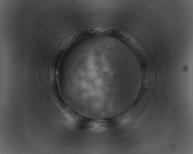X0000089920563200707131413