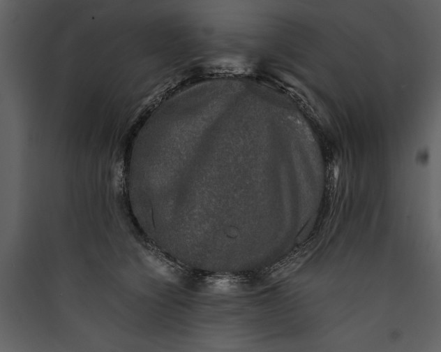 X0000089920564200707131413