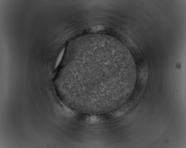 X0000089920565200707131413