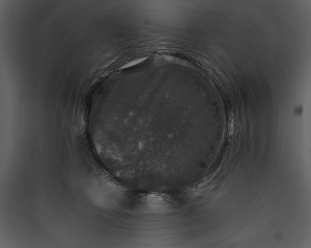 X0000089920566200707131413