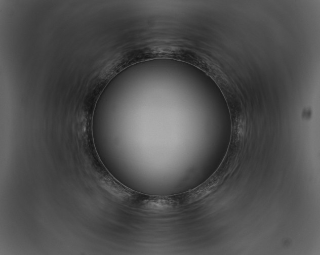 X0000089920567200707131413