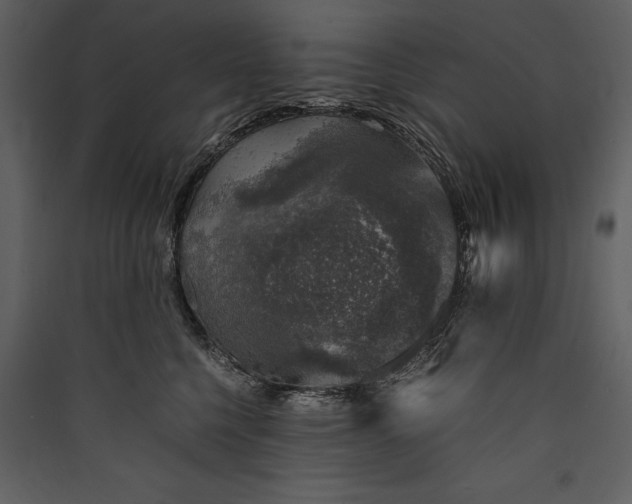 X0000089920568200707131413