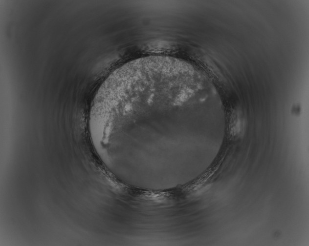 X0000089920569200707131413