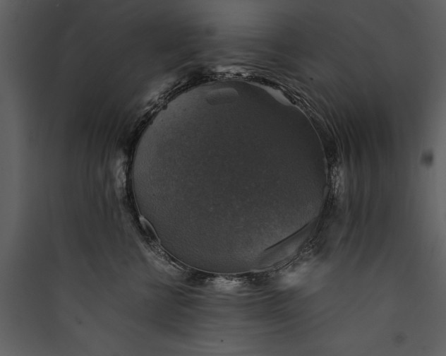 X0000089920570200707131413