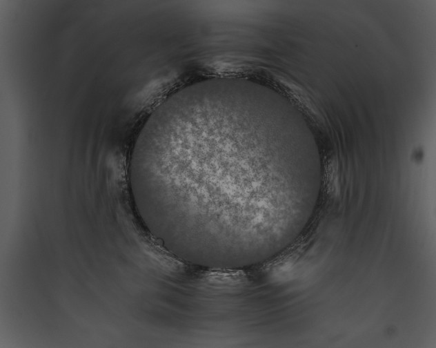 X0000089920571200707131413
