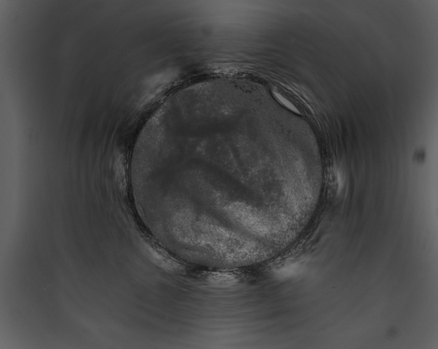 X0000089920572200707131413