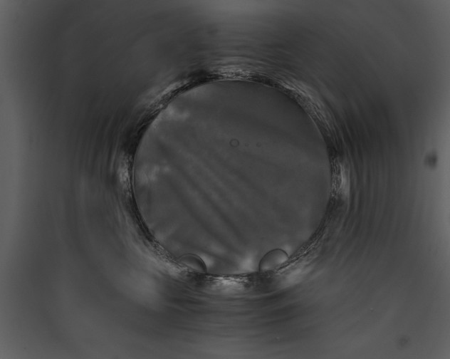 X0000089920573200707131413