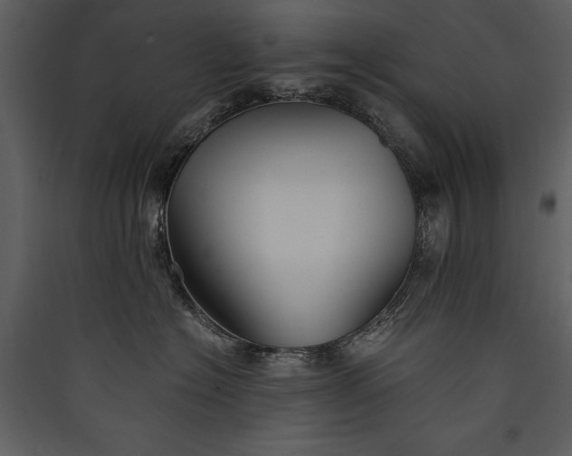 X0000089920574200707131413