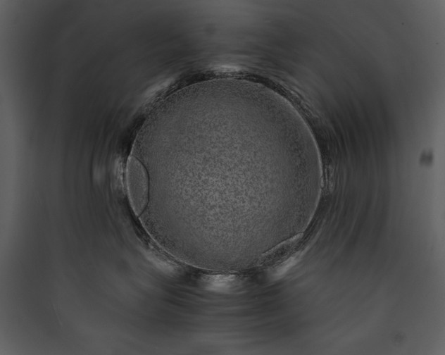 X0000089920575200707131413