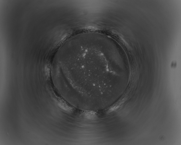 X0000089920576200707131413