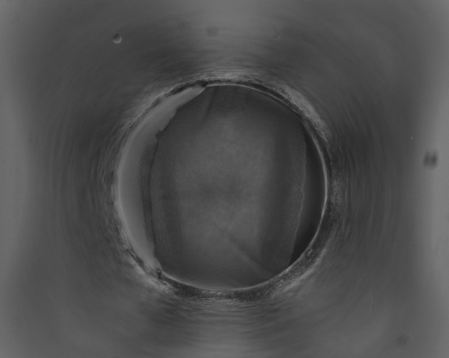 X0000089920577200707131413