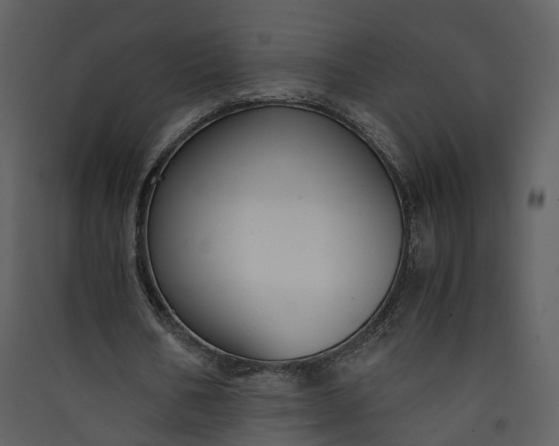 X0000089920578200707131413