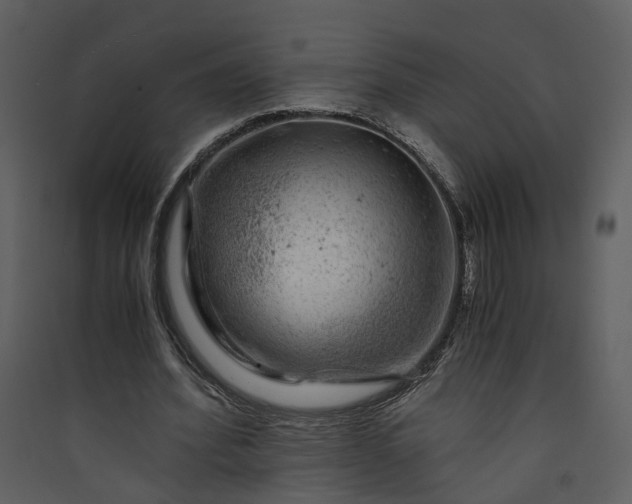 X0000089920580200707131413