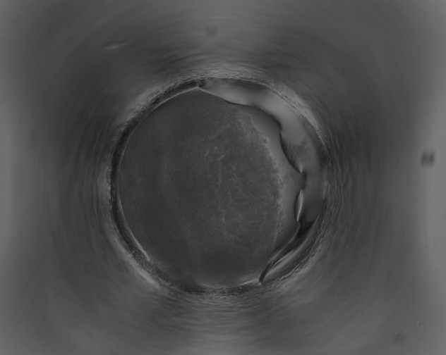X0000089920581200707131413