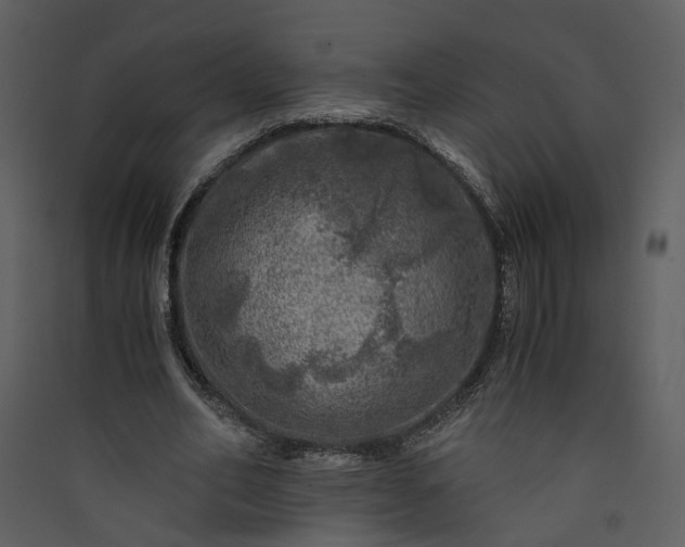 X0000089920582200707131413