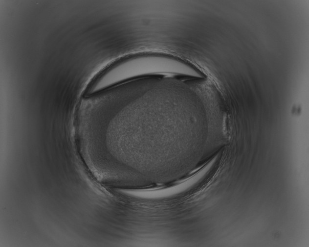 X0000089920584200707131413