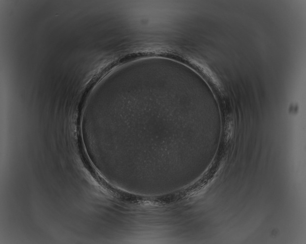 X0000089920585200707131413